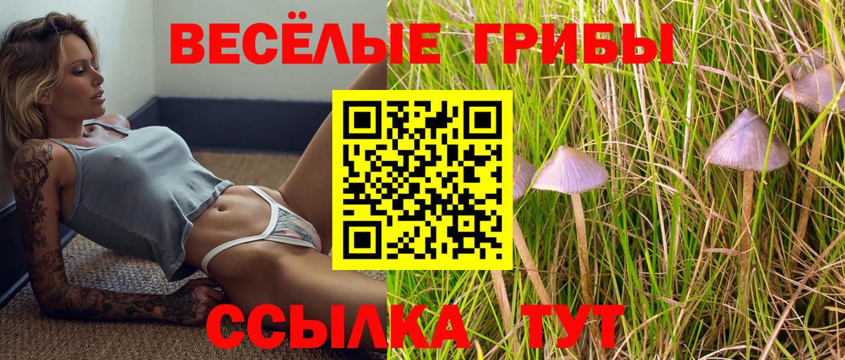 Гашиш  Майский  МДМА  Alpha PVP СОЛЬ кристаллы  Меф   Канабис  Вход с VPN  Кодеин 