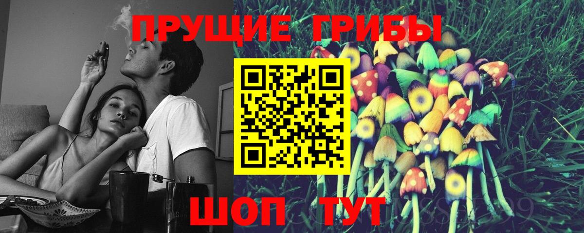 Майский  Псилоцибиновые грибы прущие грибы  Галлюциногенные грибы Psilocybine cubensis  Вход с VPN 